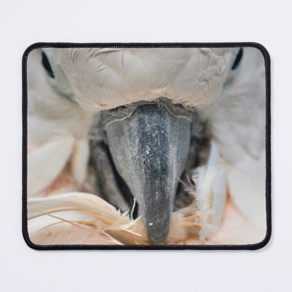 Item preview, Beautiful Closeup Portrait of a Parrot designed and sold by Charles Oliver Creations.