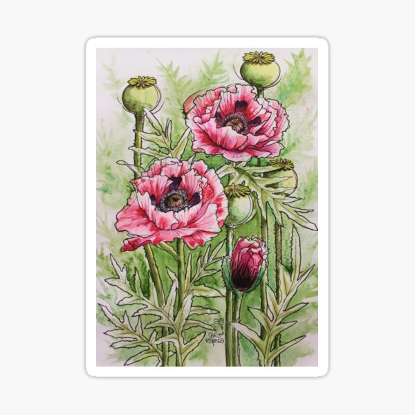Poppies Sticker