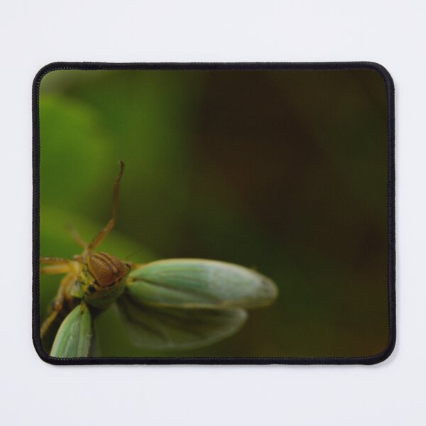 Item preview, Flying Insect Macro – Wings in Motion designed and sold by Goiko7Margarita.