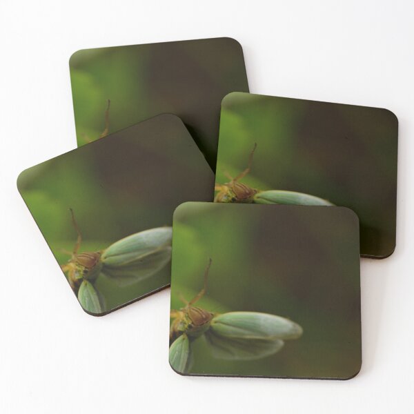 Item preview, Flying Insect Macro – Wings in Motion designed and sold by Goiko7Margarita.