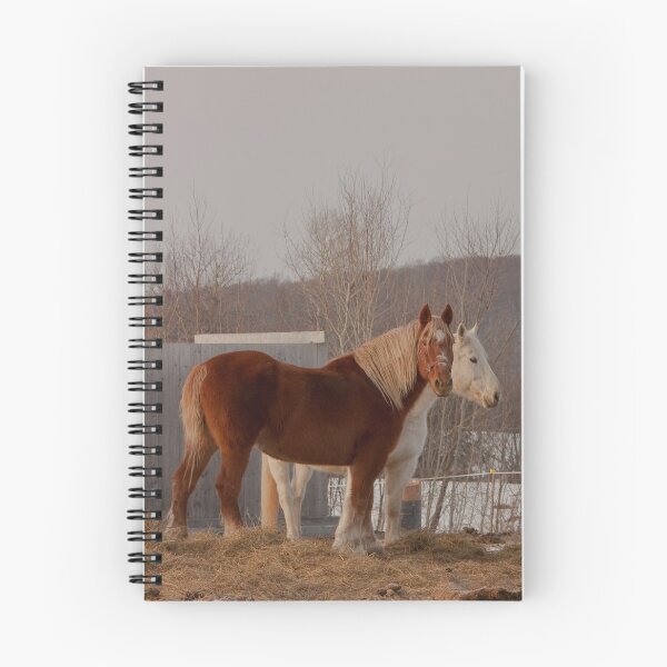 Item preview, Two horses on their land, one white, one brown designed and sold by Production Art Manon Meilleur.
