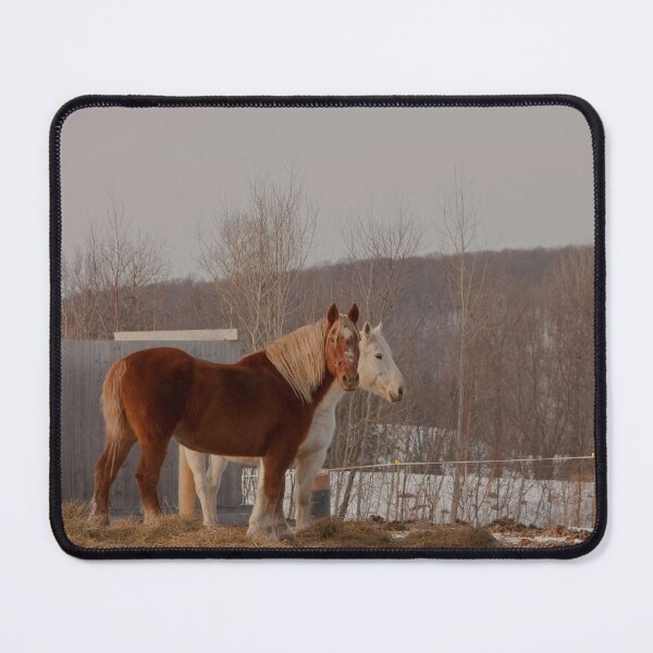 Item preview, Two horses on their land, one white, one brown designed and sold by Production Art Manon Meilleur.
