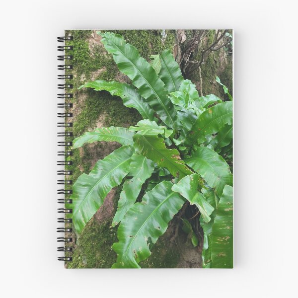 Item preview, Hart's Tongue Fern designed and sold by AnthonyThomas.