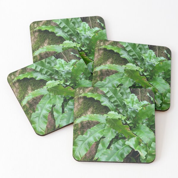 Item preview, Hart's Tongue Fern designed and sold by AnthonyThomas.