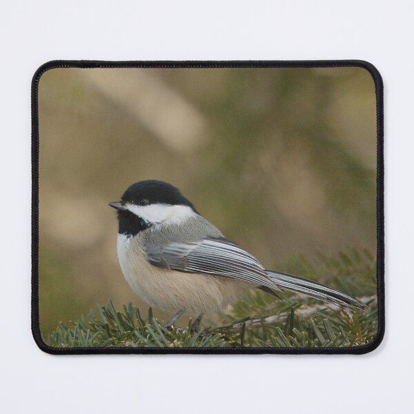 Item preview, A titmouse on a fir branch designed and sold by Production Art Manon Meilleur.