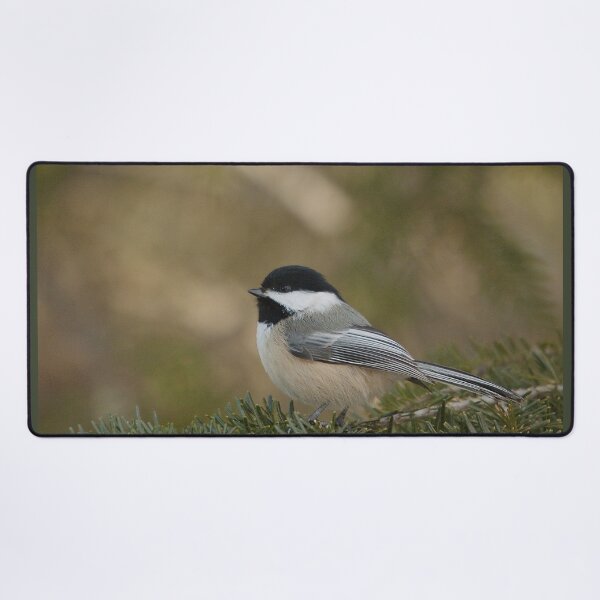 Item preview, A titmouse on a fir branch designed and sold by Production Art Manon Meilleur.