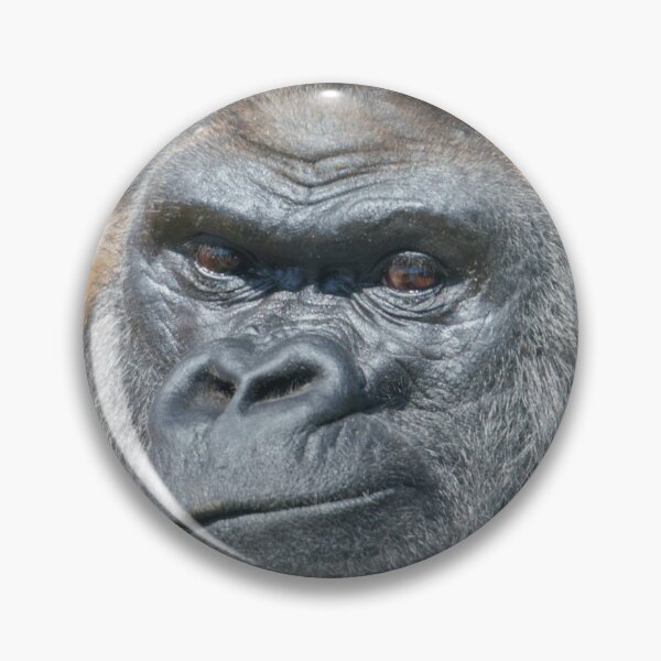 Item preview, Playful Power – Silverback Expression designed and sold by rawshutterbug.