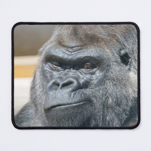 Item preview, Playful Power – Silverback Expression designed and sold by rawshutterbug.