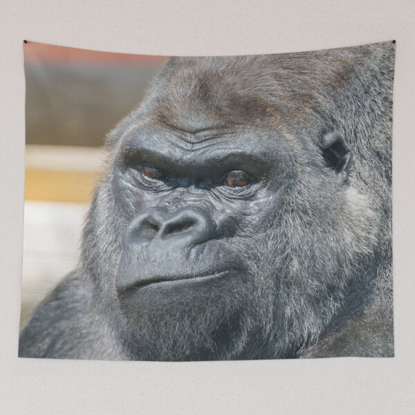 Item preview, Playful Power – Silverback Expression designed and sold by rawshutterbug.