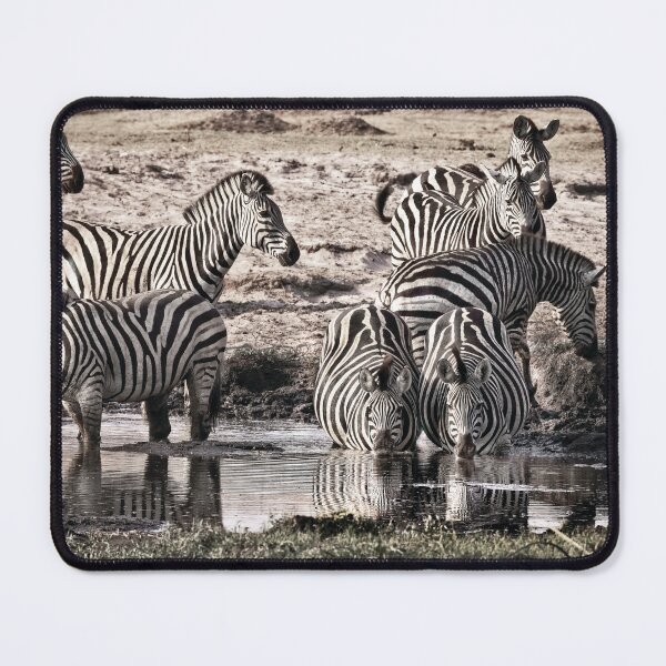 Item preview, Zebras At the Waterhole designed and sold by Kay Brewer.