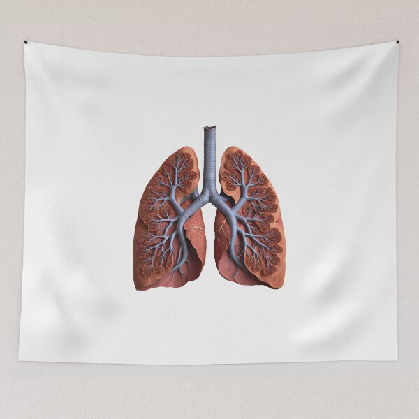 Item preview, Detailed Human Lungs designed and sold by Maldives-Art.