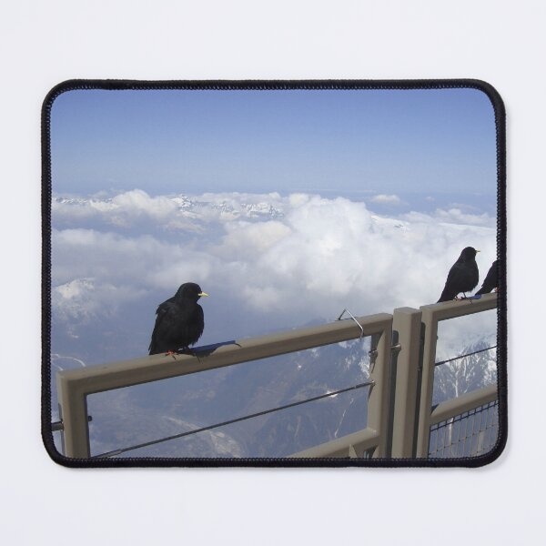 Item preview, Alpine Choughs top of Aiguille Du Midi tram designed and sold by fungus50.