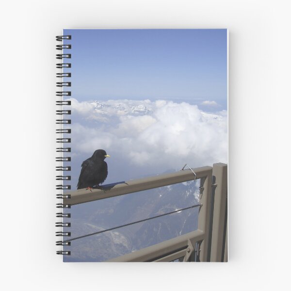 Item preview, Alpine Choughs top of Aiguille Du Midi tram designed and sold by fungus50.
