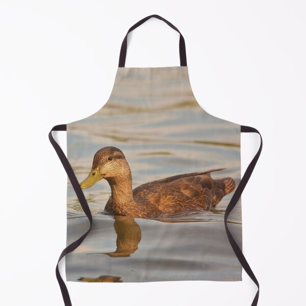 Aperçu de l'œuvre Une femelle canard colvert qui nage sur l'eau créée et vendue par Production Art Manon Meilleur.