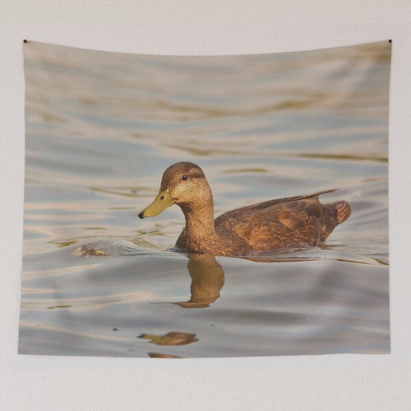 Item preview, A female mallard swimming on the water designed and sold by Production Art Manon Meilleur.