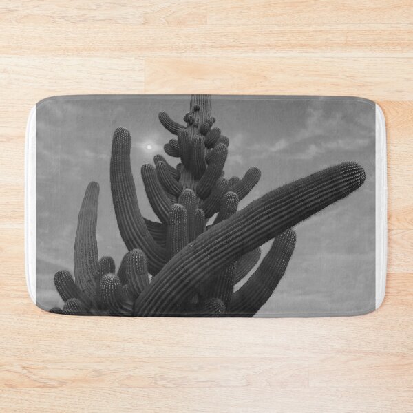 Item preview, Shiva 4  designed and sold by Steve Reynolds Photography .