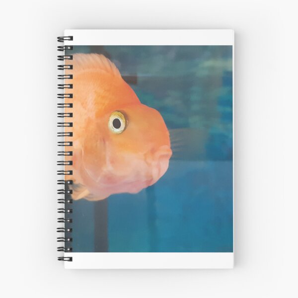Item preview, Orange fish in blue water designed and sold by Emma  Amies.