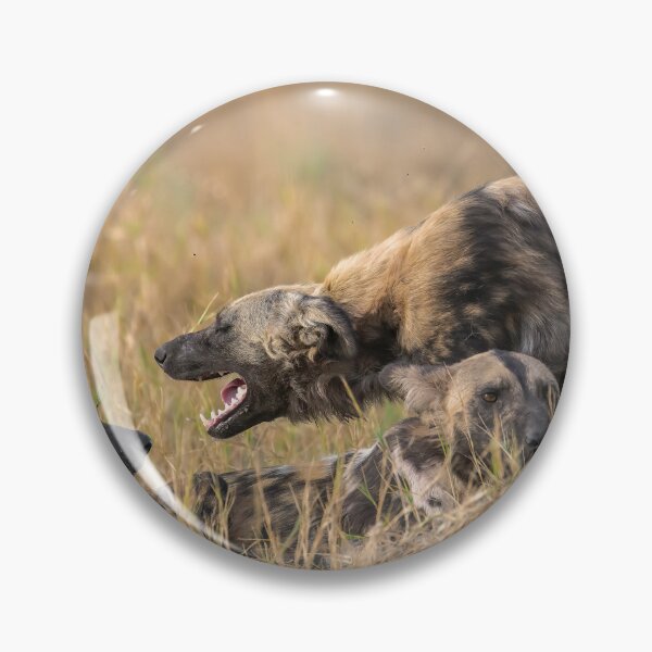 Item preview, Play-Fight Ritual — African Wild Dogs designed and sold by DavideAntoniani.