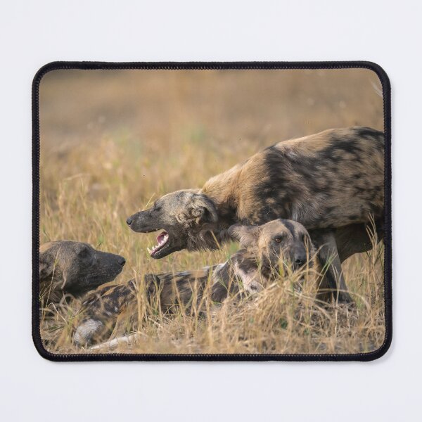 Item preview, Play-Fight Ritual — African Wild Dogs designed and sold by DavideAntoniani.