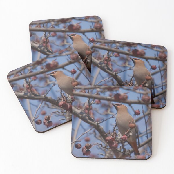 Item preview, Waxwing on a crabapple branch against a blue sky designed and sold by Production Art Manon Meilleur.