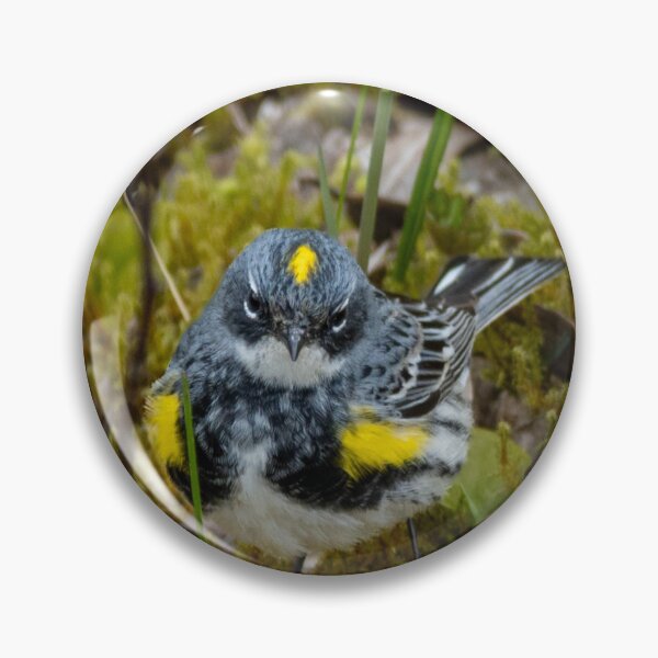 Item preview, Yellow-Rumpled Warbler designed and sold by TinyDinoDesigns.