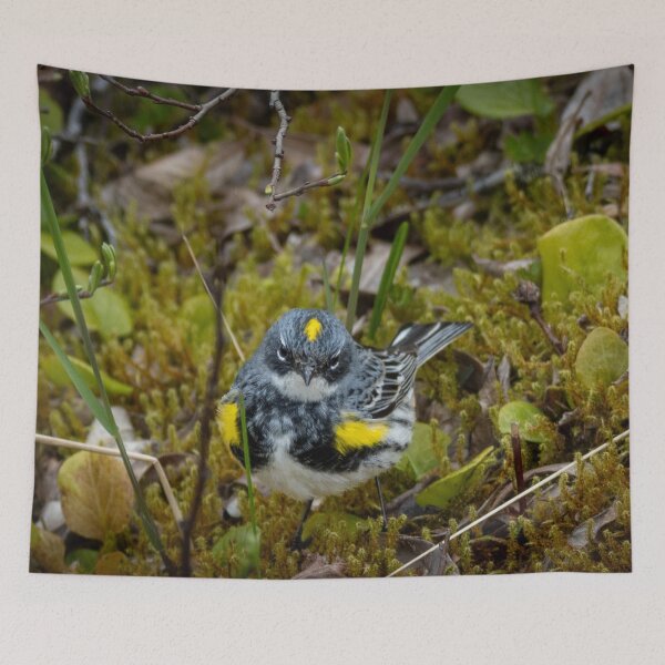 Item preview, Yellow-Rumpled Warbler designed and sold by TinyDinoDesigns.