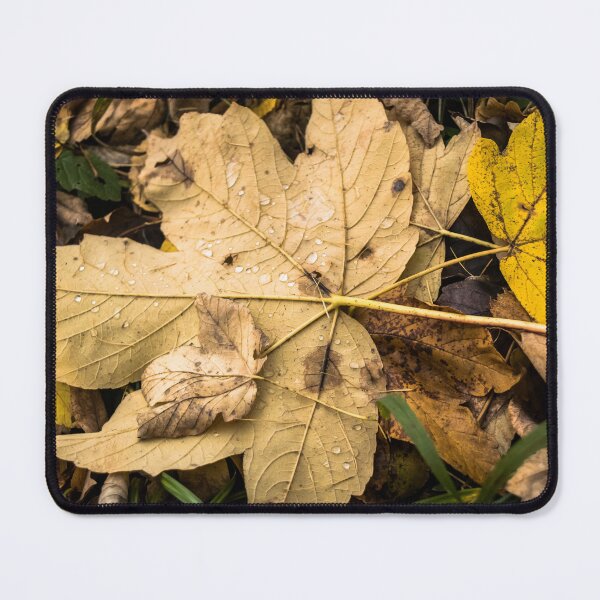 Item preview, Colorful autumn maple leaves design — cozy fall vibes designed and sold by eGreenHat.