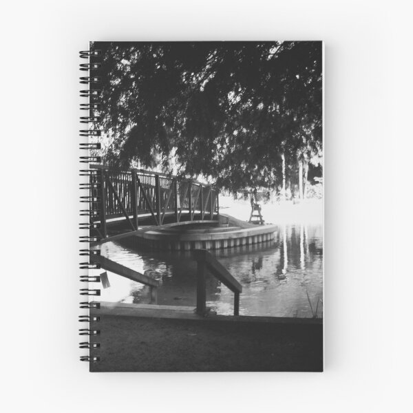 Aperçu de l'œuvre Florida Springs créée et vendue par PyrePhotos.