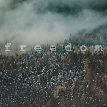 Artwork thumbnail, Freedom by ConquerCommons