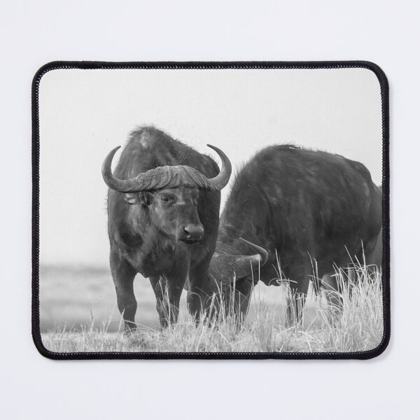 Item preview, Dust and Horns — Cape Buffalo in Monochrome designed and sold by DavideAntoniani.