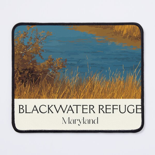 Item preview, Blackwater Maryland Wildlife Refuge | Bald Eagle Poster designed and sold by TuncGK.