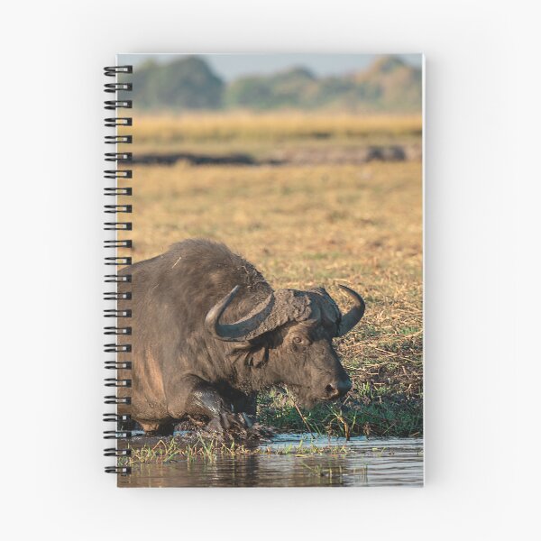Item preview, Mud & Nerve — Cape Buffalo Crossing the Edge designed and sold by DavideAntoniani.