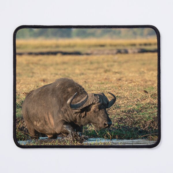 Item preview, Mud & Nerve — Cape Buffalo Crossing the Edge designed and sold by DavideAntoniani.