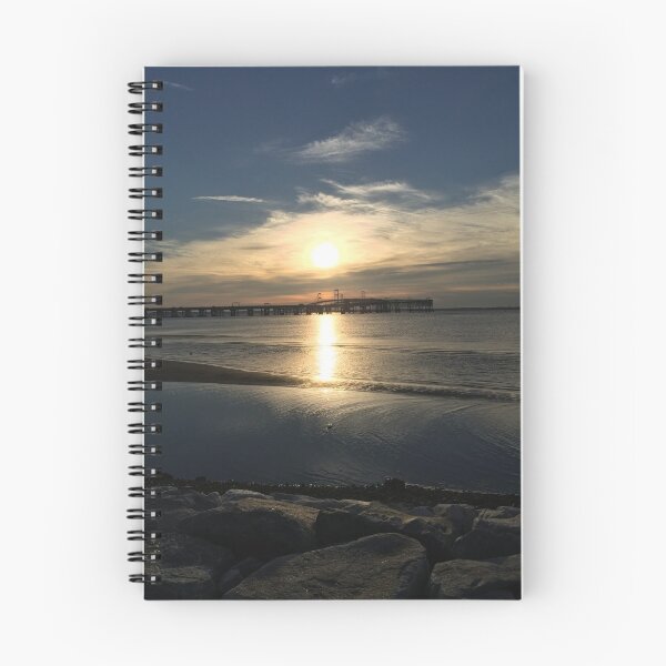 Item preview, Bay Bridge in Maryland designed and sold by mowissawynnie.