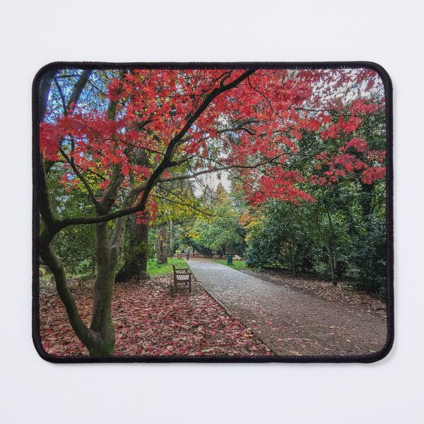 Item preview, Autumn in all it's glory  designed and sold by ellenmpics.