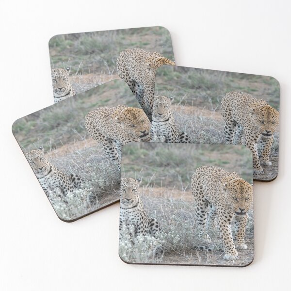 Item preview, Whispered Lesson — Leopards in the Pale Bush designed and sold by DavideAntoniani.