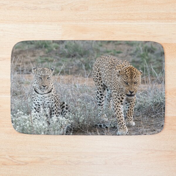 Item preview, Whispered Lesson — Leopards in the Pale Bush designed and sold by DavideAntoniani.