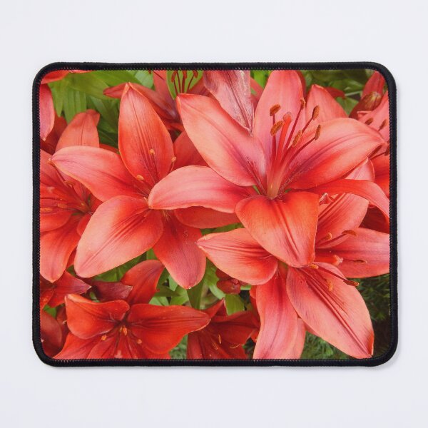 Item preview, "A Gathering of Lilies" - 5 [D4471~15] designed and sold by StudioActivo.