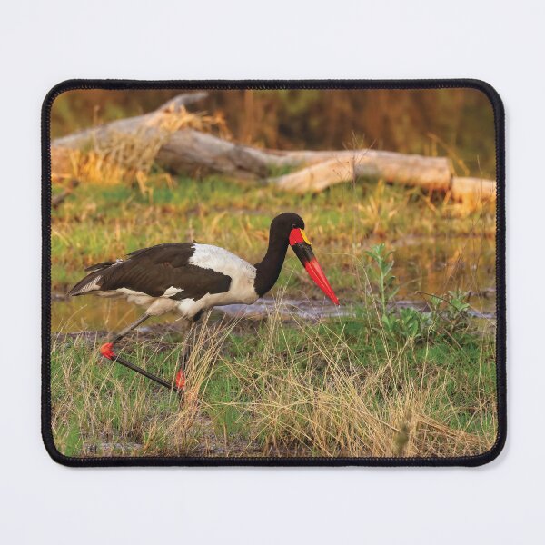 Item preview, Saddlebilled Stork designed and sold by Kay Brewer.