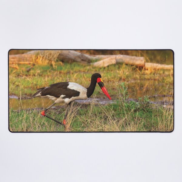 Item preview, Saddlebilled Stork designed and sold by Kay Brewer.
