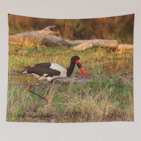 Item preview, Saddlebilled Stork designed and sold by Kay Brewer.