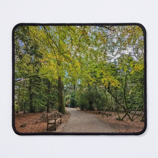 Item preview, Autumn in the Park designed and sold by ellenmpics.