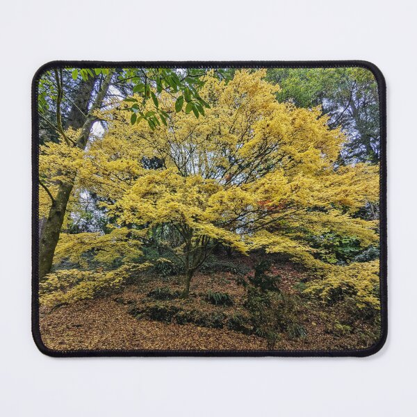 Item preview, Autumn Gold designed and sold by ellenmpics.