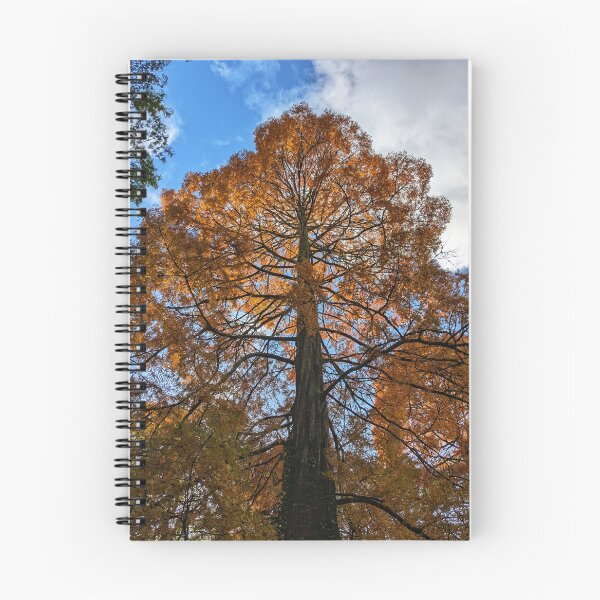 Item preview, Autumn in the Park  designed and sold by ellenmpics.