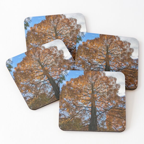Item preview, Autumn in the Park  designed and sold by ellenmpics.