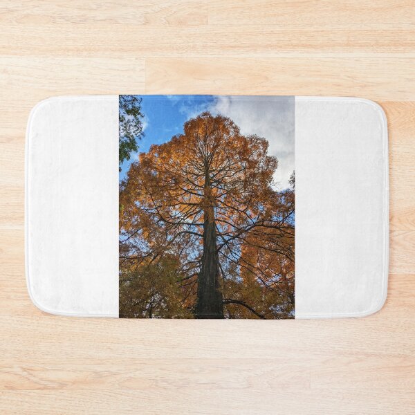 Item preview, Autumn in the Park  designed and sold by ellenmpics.