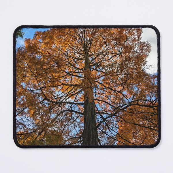 Item preview, Autumn in the Park  designed and sold by ellenmpics.