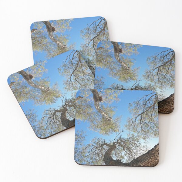 Item preview, Batsi beach upward tamarisks designed and sold by paulboizot.