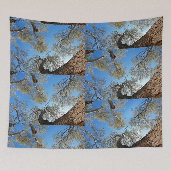Item preview, Batsi beach upward tamarisks designed and sold by paulboizot.