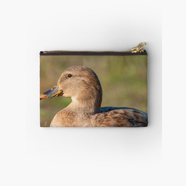 Item preview, Close profile of female Mallard duck with lake greens in her bill designed and sold by lisavonbiela.